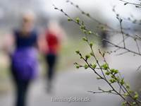 Billeder fra Forårsløbet 2019
