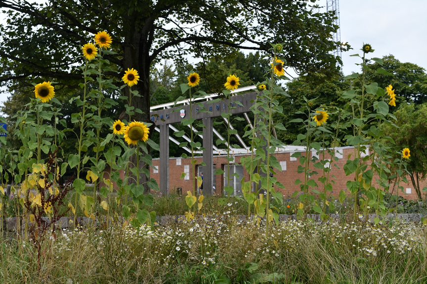 Sensommerløbet 2021