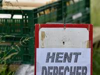 Billeder fra Fuglsangsø Stafetten 2024