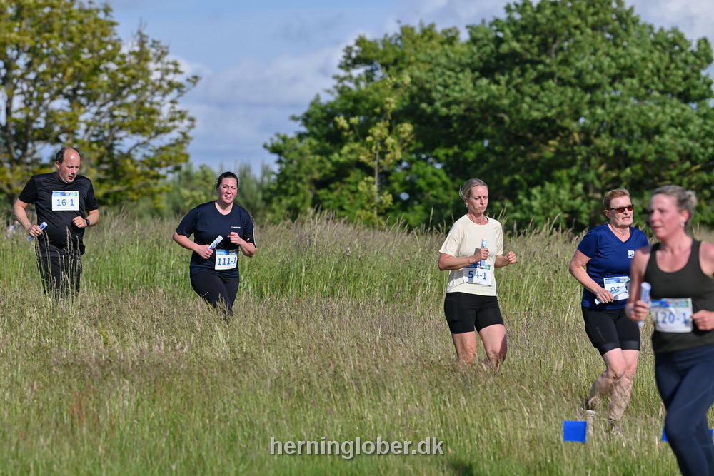 Billeder fra Fuglsangsø Stafetten 2025