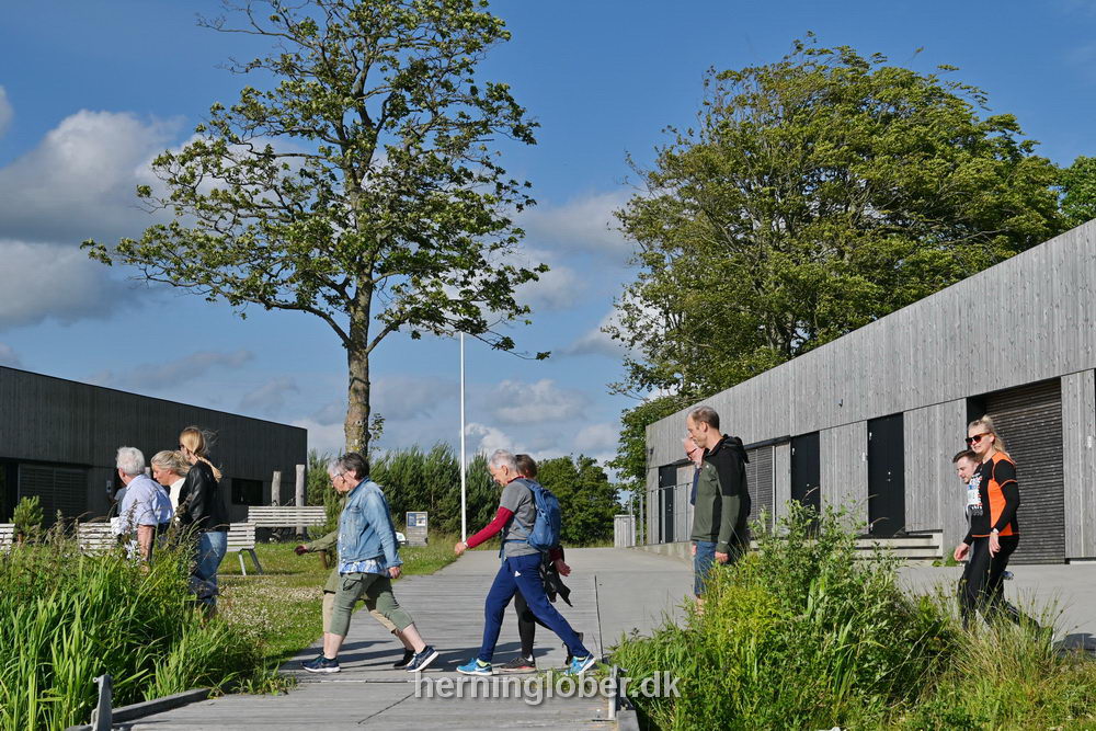 Billeder fra Fuglsangsø Stafetten 2025