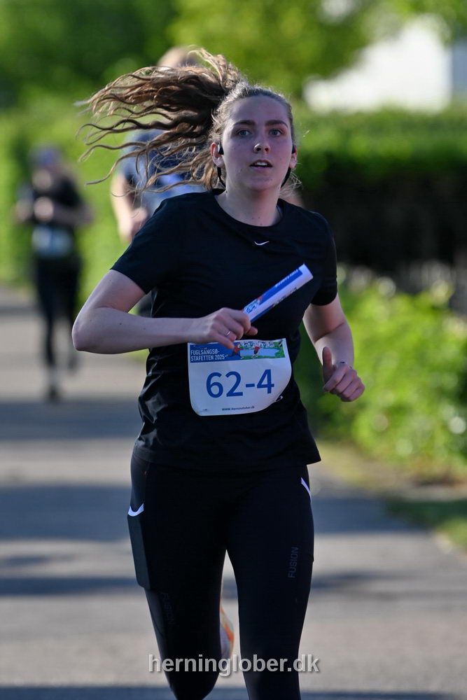 Billeder fra Fuglsangsø Stafetten 2025