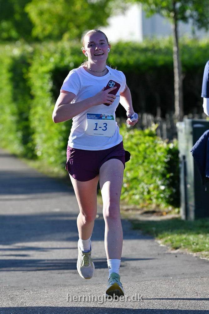 Billeder fra Fuglsangsø Stafetten 2025