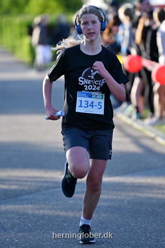 Billeder fra Fuglsangsø Stafetten 2025